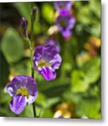 Purple Flowers 2 Metal Print