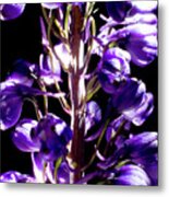 Purple Flowers Metal Print