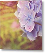 Purple Hydrangea Metal Print