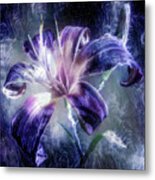 Purple Lily Flower Metal Print