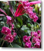 Purple Orchids Metal Print