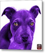 Purple Pitbull Puppy Pop Art - 7085 Wb Metal Print