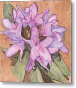 Purple Rhododendron Metal Print