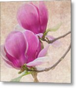 Purple Tulip Magnolia Metal Print