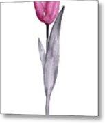 Purple Tulip Watercolor Art Print Painting Metal Print