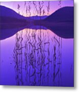 Purple Zen Metal Print
