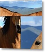 Quarter Horse Triptych Metal Print