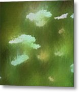 Queen Anne's Lace Metal Print