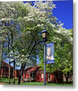 Queens University In The Spring Metal Print