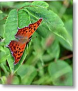 Question Mark Butterfly Metal Print