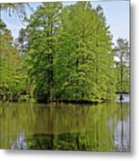 Quiet Waters Metal Print