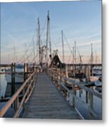 Quite Tide Metal Print