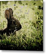 Rabbit In Meadow Metal Print