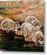 Raccoons At Sunrise Metal Print