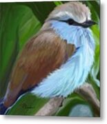 Racket-tailed Roller Metal Print