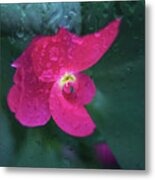 Rain Drenched. Metal Print