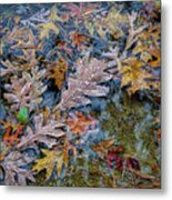 Rain On Autumn Leaves Metal Print