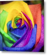Rainbow Rose In Paint Metal Print