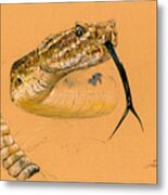 Rattlesnake Painting Metal Print