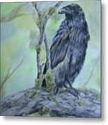 Raven Colors Metal Print