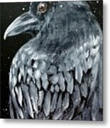Raven In Snow Metal Print