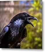 Raven Profile Metal Print