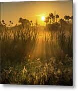 Rays Of Light Metal Print