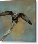 Ready For Flight Metal Print