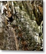 Realignment Metal Print