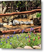 Red And Bluebonnets Metal Print