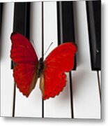 Red Butterfly On Piano Keys Metal Print