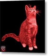 Red Cat Art - 3771 Bb Metal Print