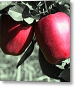 Red Delicious Apples Partial Metal Print