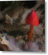 Red Forest Mushroom Metal Print