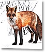 Red Fox Digital Painting Metal Print