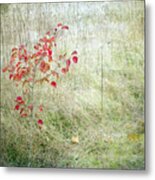 Red Leaves Amongst Grass Metal Print