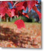 Red Leaves Metal Print