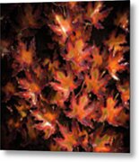 Red Maple Leaves Metal Print