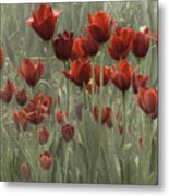 Red Metal Print