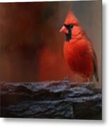 Red On The Rocks - Cardinal Bird Art Metal Print