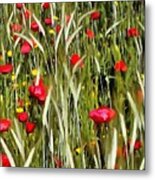 Red Poppies In A Cornfield Metal Print
