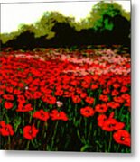 Red Poppies Landscapes Flowers Emerald Isle Multimedia Fine Art Metal Print