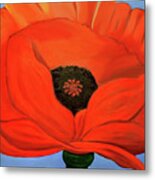 Red Poppy With Style Metal Print