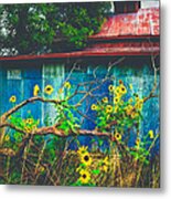 Red Roof Tin Barn And Wild Sunflowers Metal Print