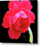 Red Rose Cutout Metal Print