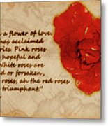 Red Rose Significance Metal Print