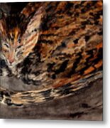 Red Spot Tabby Metal Print