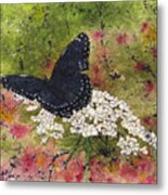 Red Spotted Purple Butterfly Queen Annes Lace Batik Metal Print