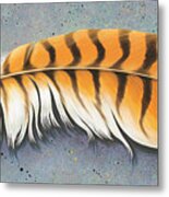 Red Tail Hawk Feather Metal Print