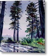 Redwood Reflections Metal Print